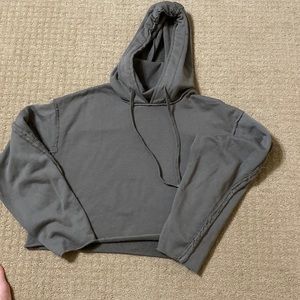 Alo yoga crop hoodie with turtleneck